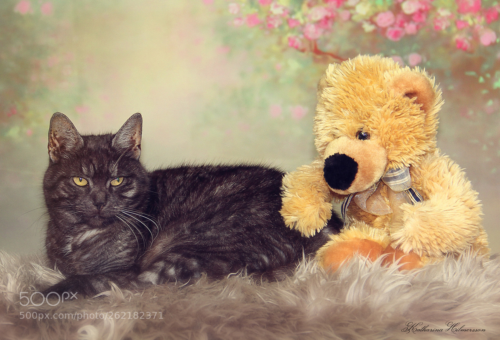 Canon EOS 60D sample photo. Lisa with friend photography