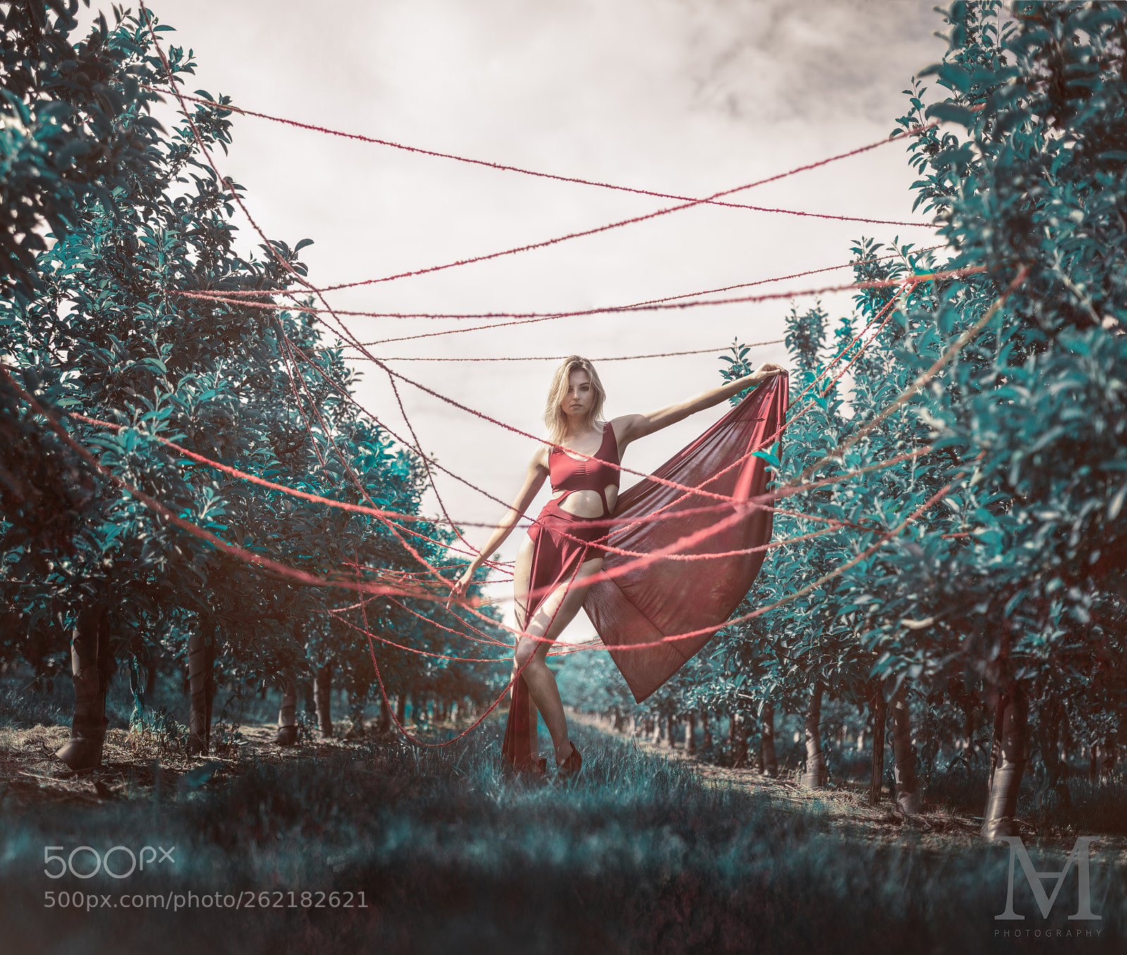 Sony a7 III sample photo. Red photography