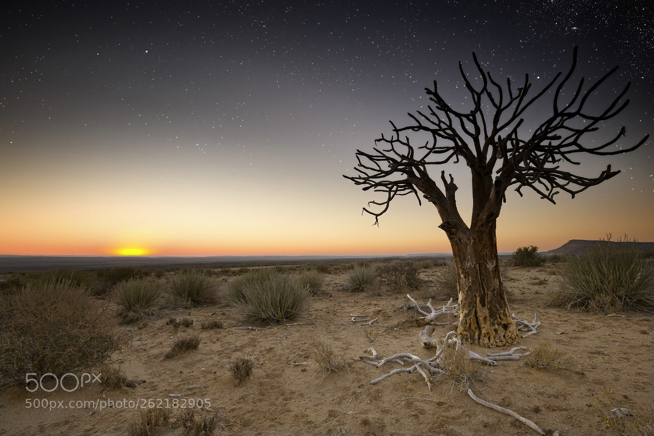 Canon EOS 6D sample photo. Sun & stars photography
