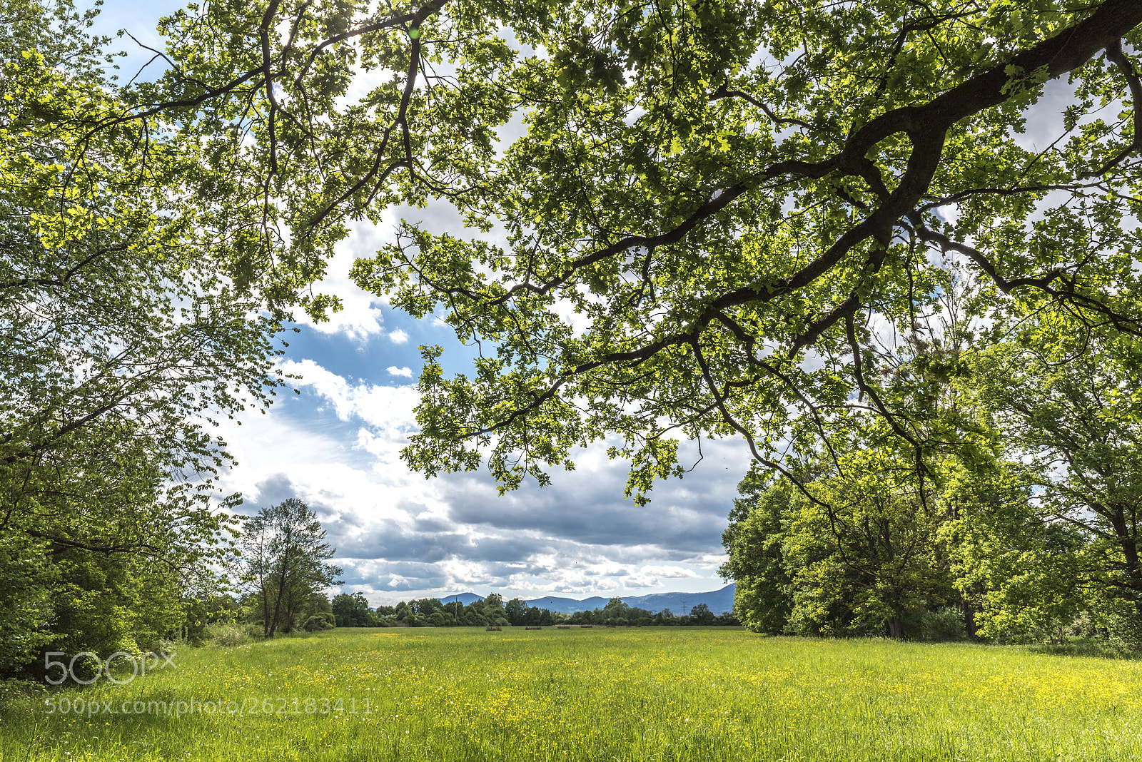 Nikon D750 sample photo. Untitled photography