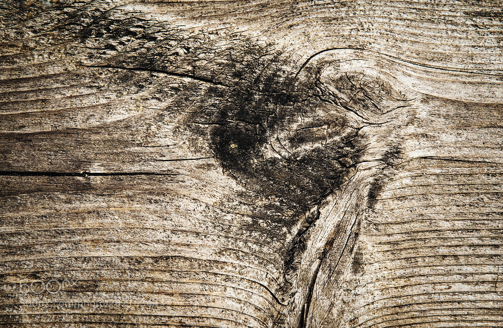 Nikon D5500 sample photo. Old wood with unevenness photography