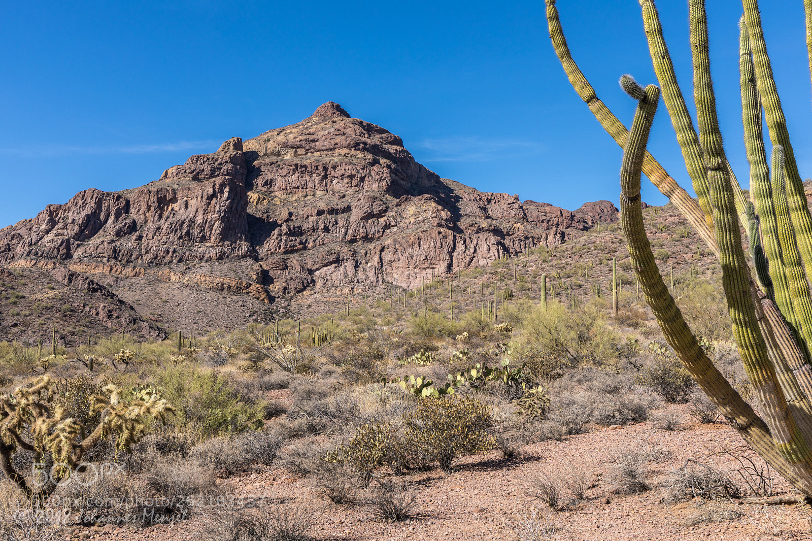 Canon EOS 5D Mark IV sample photo. Arizona desert photography