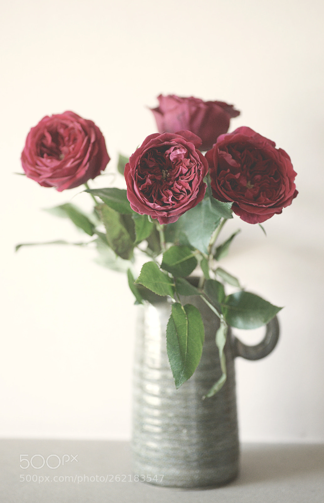 Sony Alpha DSLR-A850 sample photo. Burgundy blooms photography