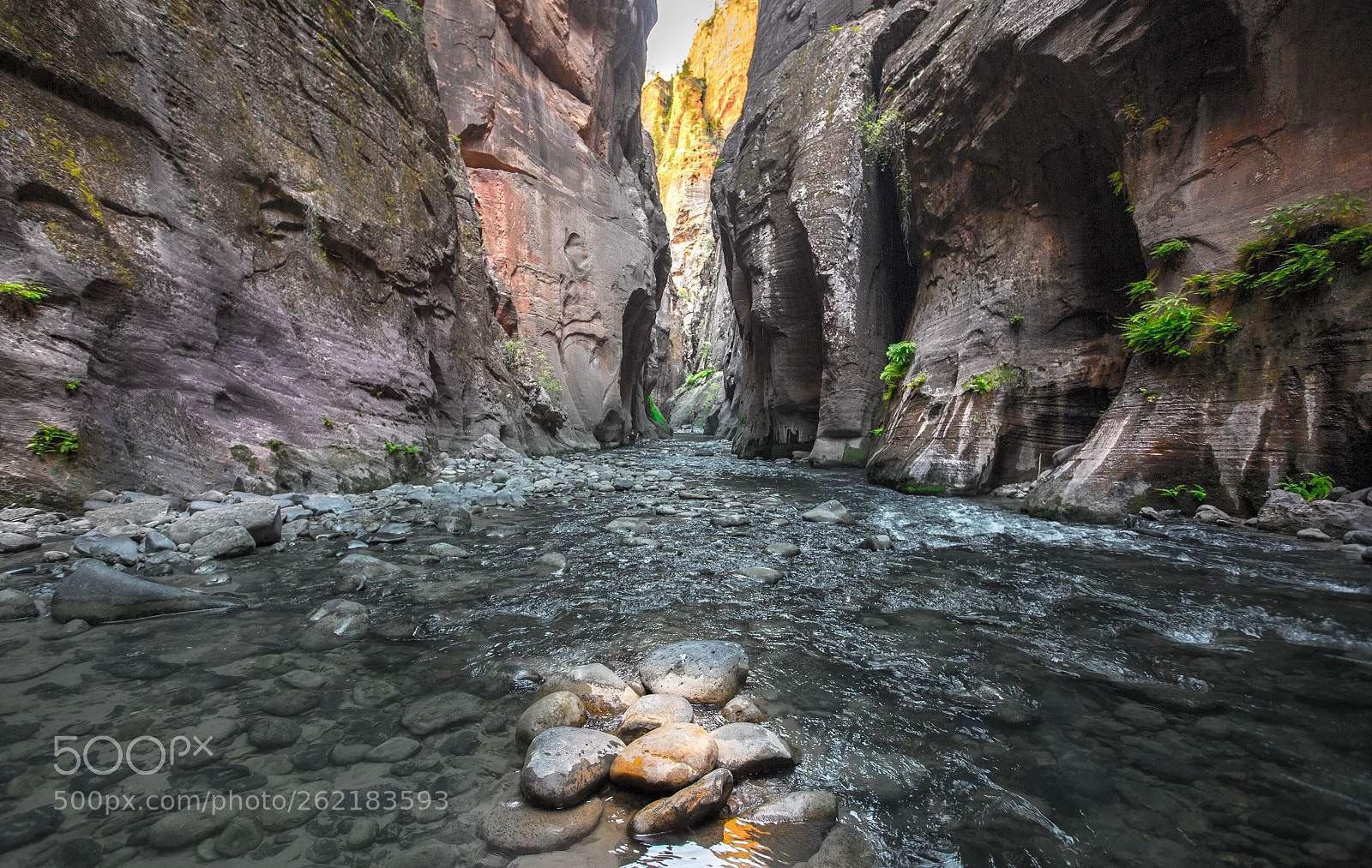 Canon EOS 6D sample photo. The narrows 3 photography