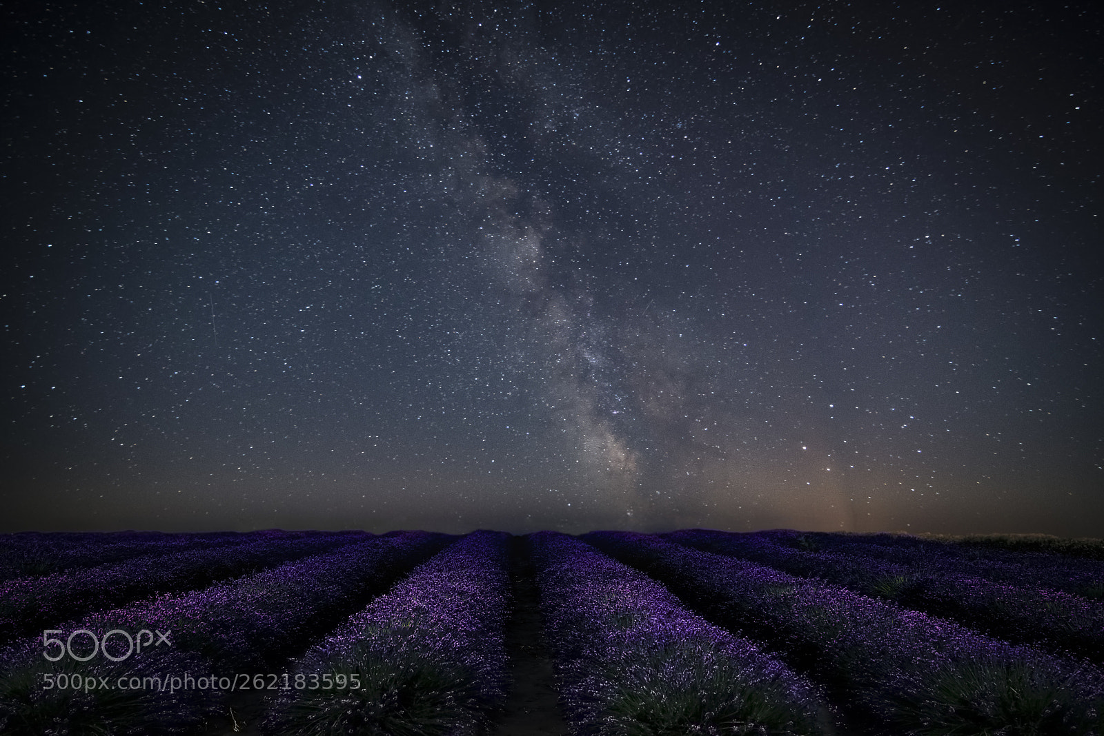 Nikon D610 sample photo. Milky way photography