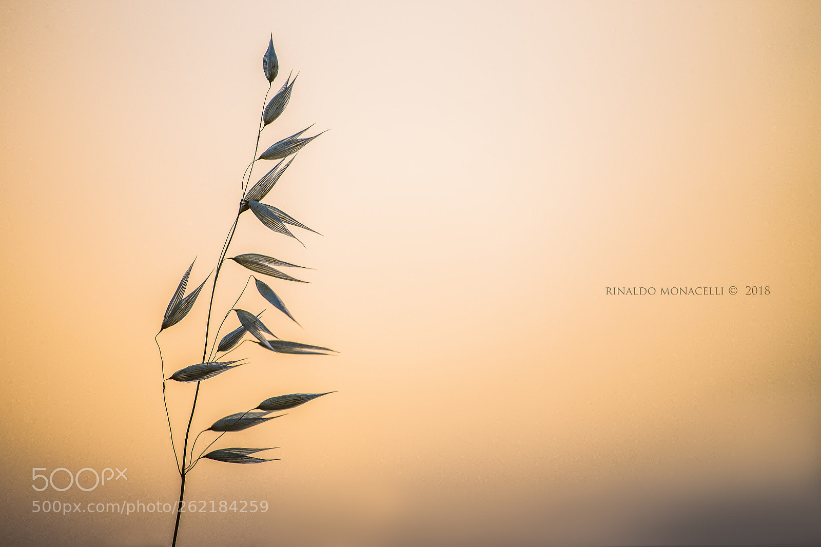 Canon EOS 6D sample photo. Punti di vista photography
