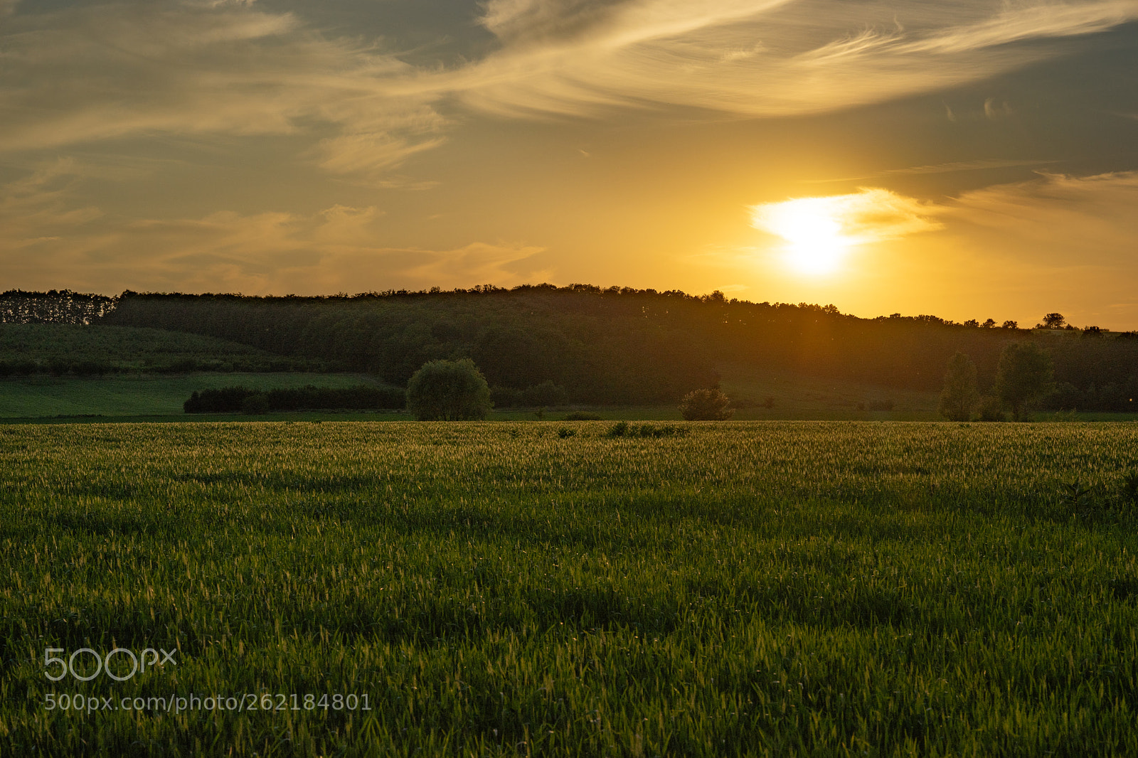 Sony a7 II sample photo. Landscape. colorful evening. photography