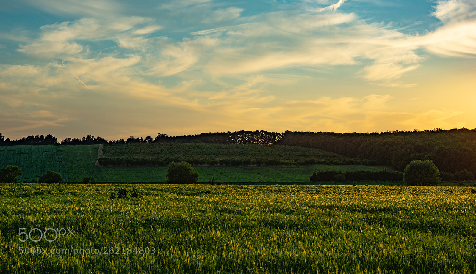 Sony a7 II sample photo. Landscape. colorful evening. photography