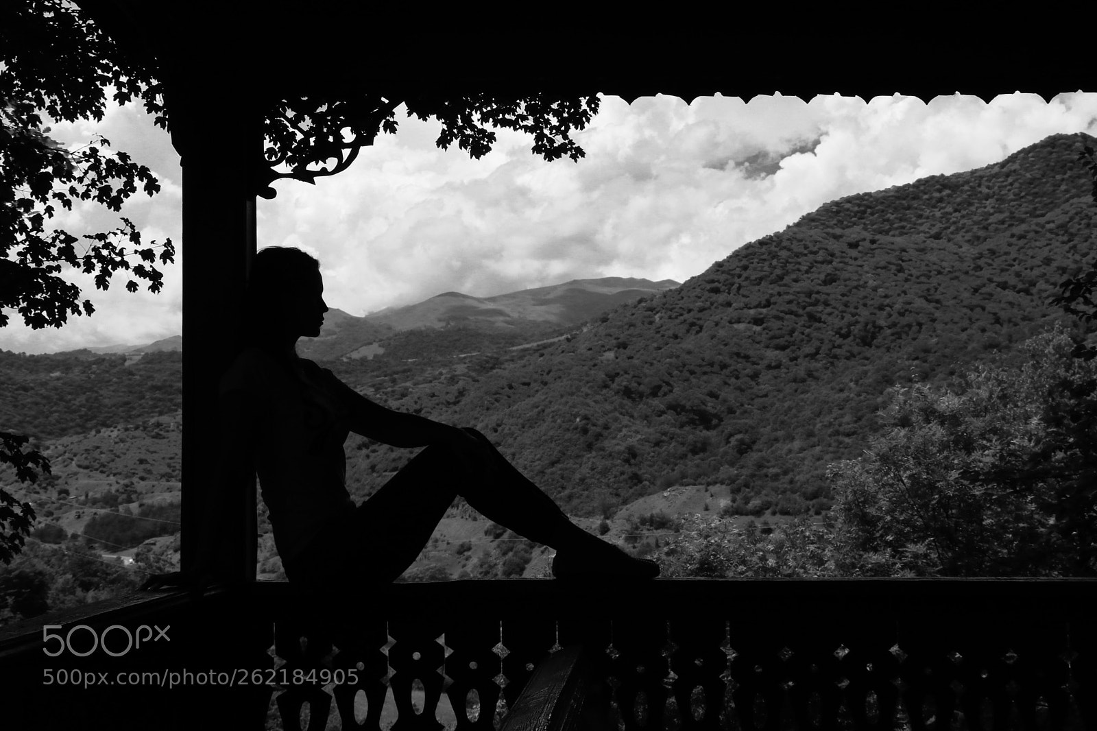 Canon EOS 80D sample photo. Untitled photography