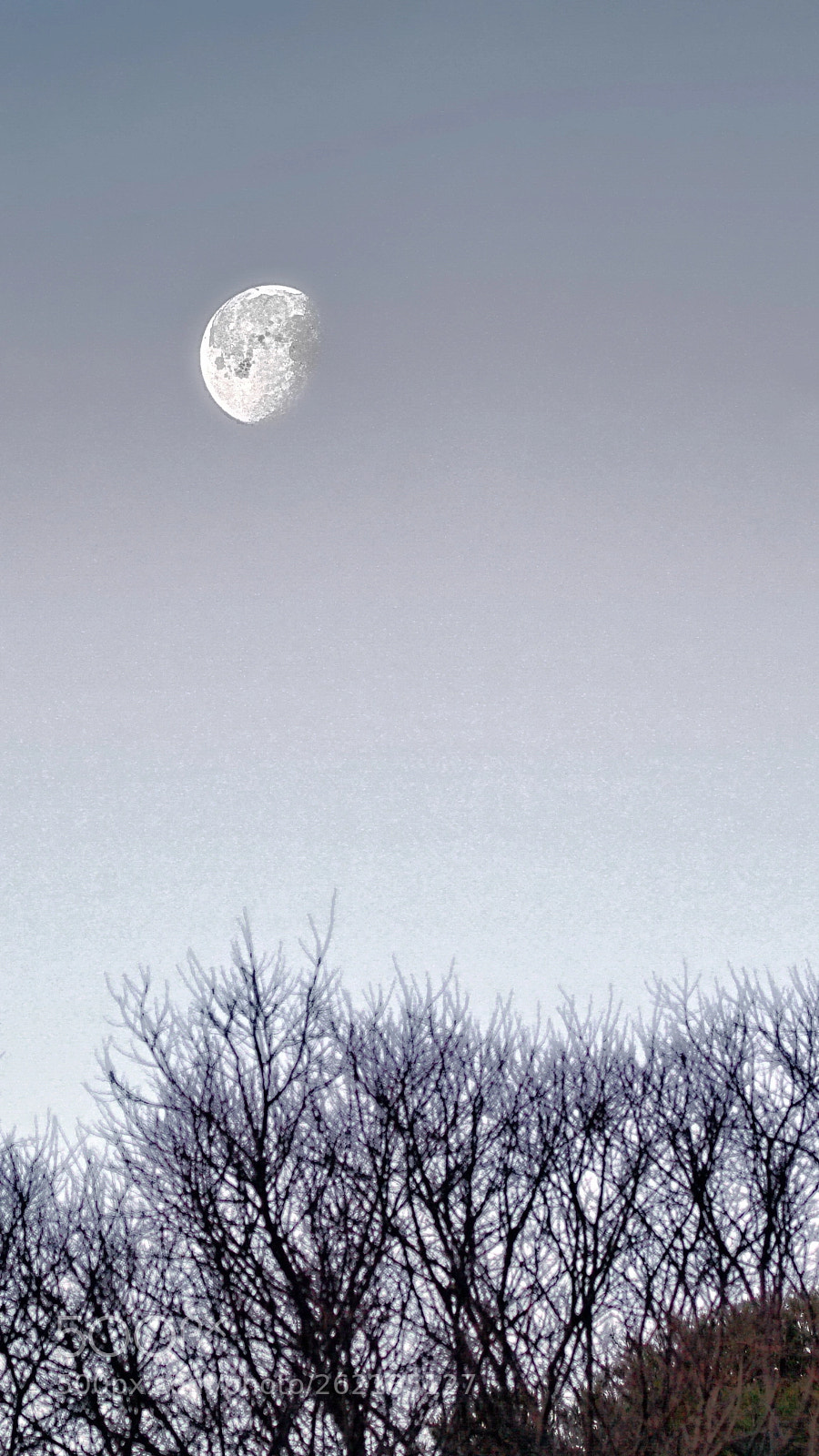 Sony Sonnar T* 135mm F1.8 ZA sample photo. Amoon photography