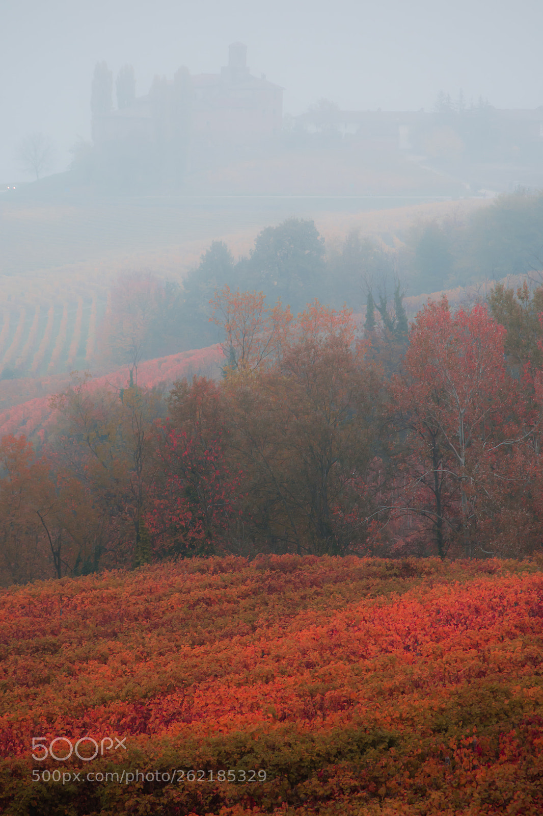 Nikon D7100 sample photo. "barolo", 2017 photography