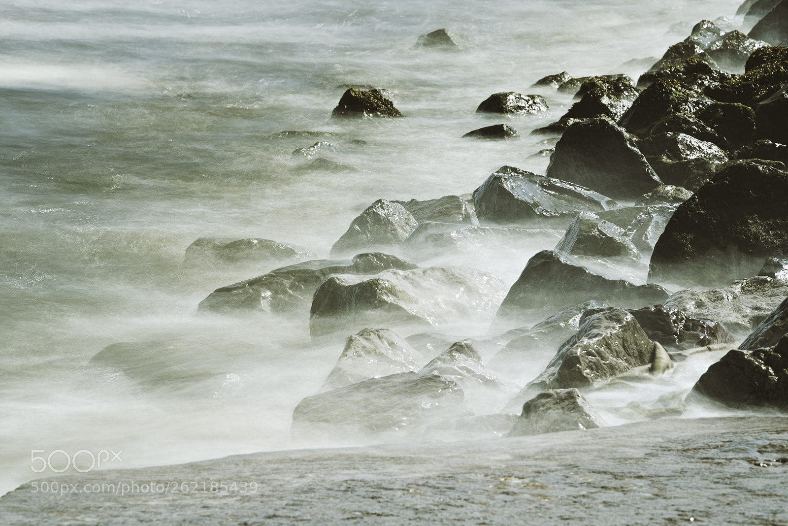 Nikon D750 sample photo. Coast photography