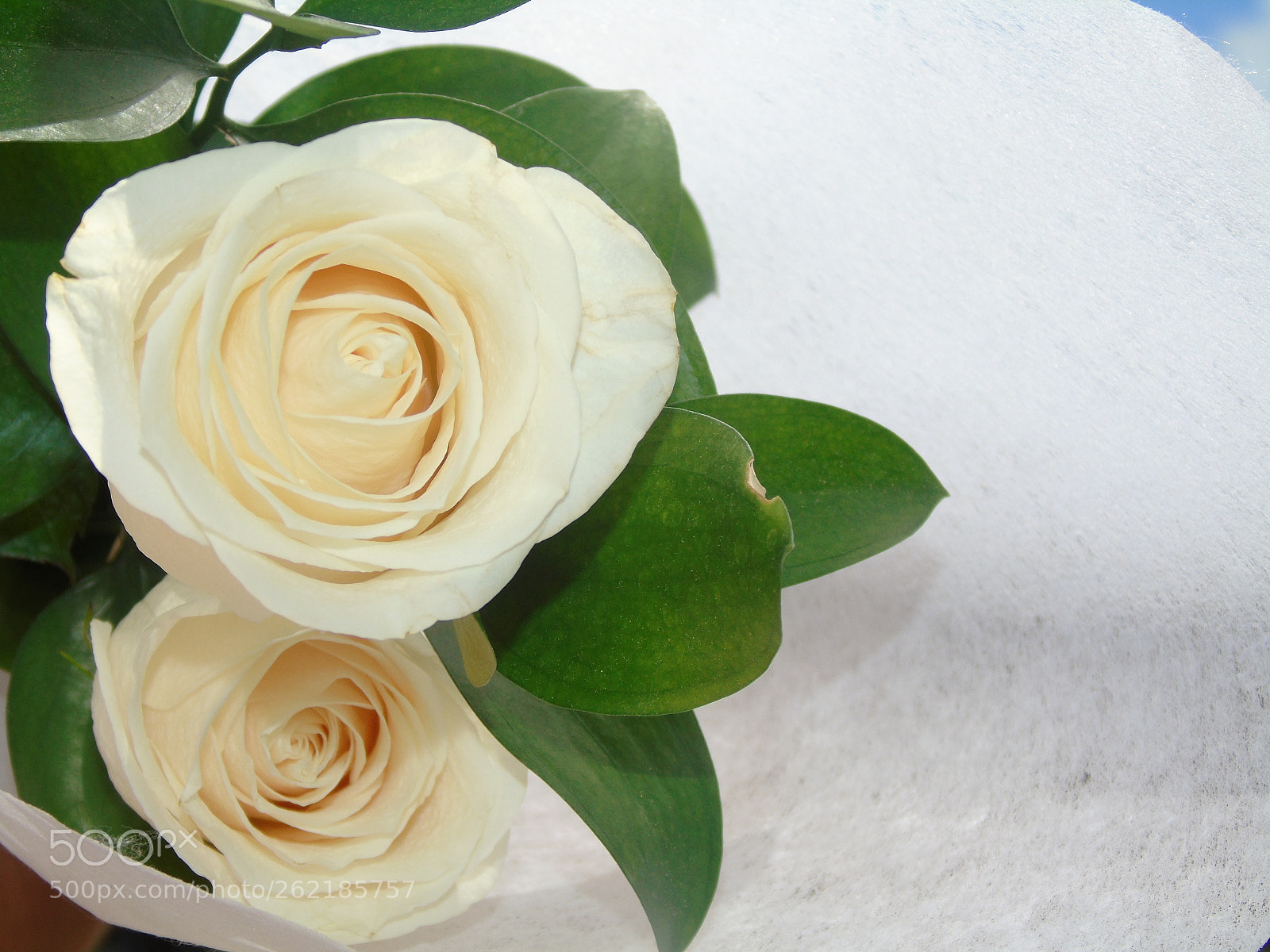 Sony Cyber-shot DSC-H400 sample photo. La gran boda photography