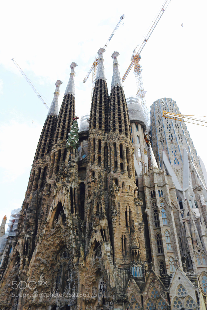 Canon EOS 750D (EOS Rebel T6i / EOS Kiss X8i) sample photo. Barcelona construction photography
