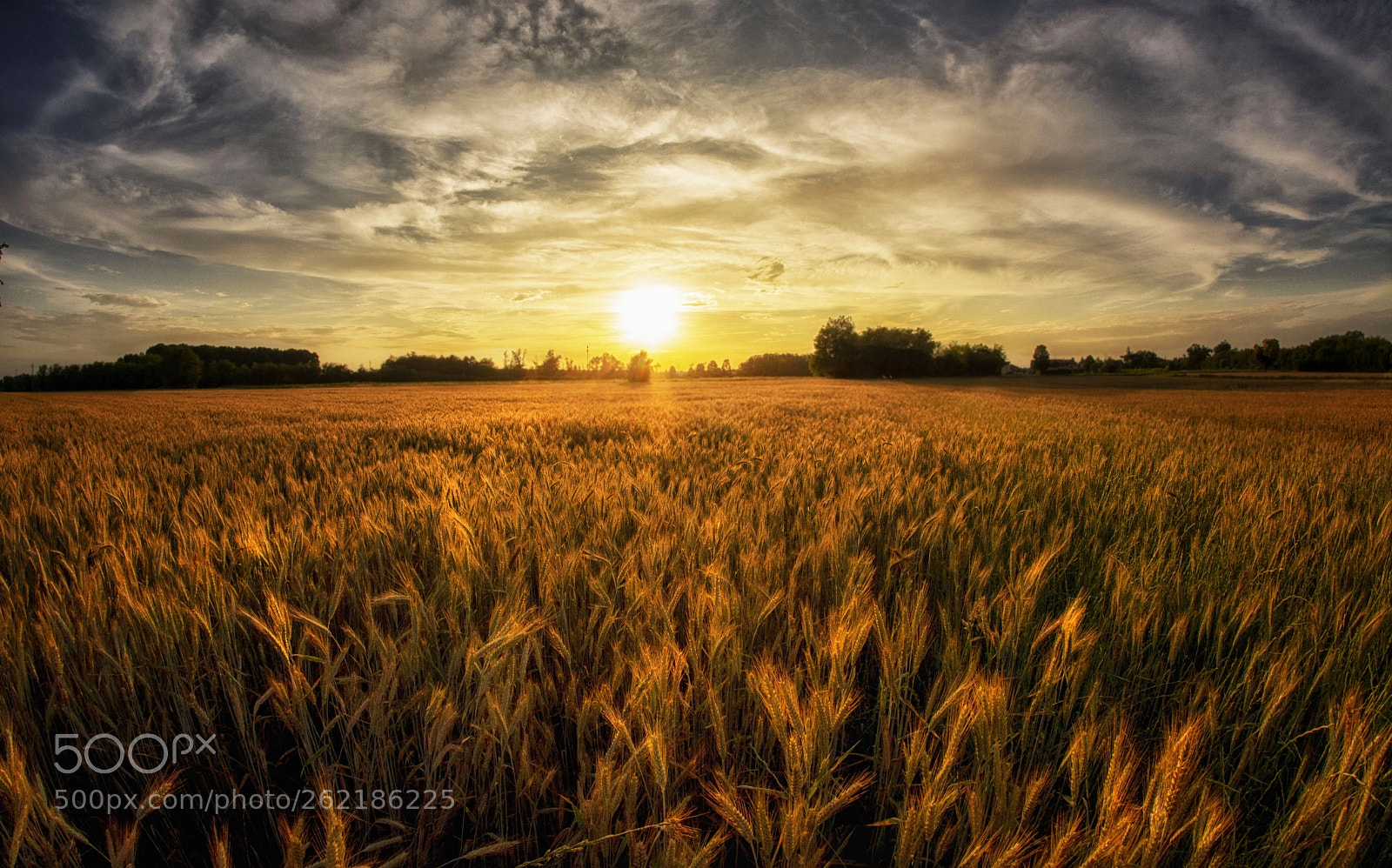 Nikon D7100 sample photo. June sunset photography