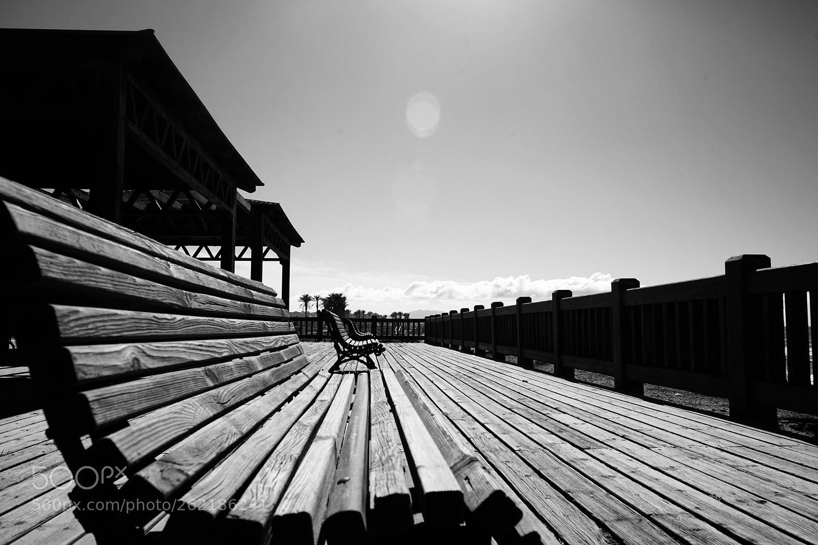 Sony a7 sample photo. Untitled photography