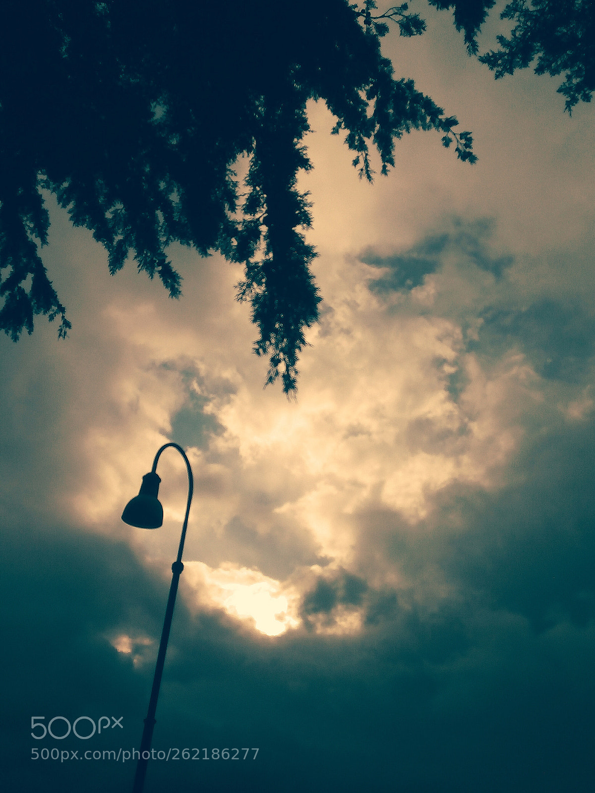 HUAWEI Y6 2017 sample photo. Untitled photography