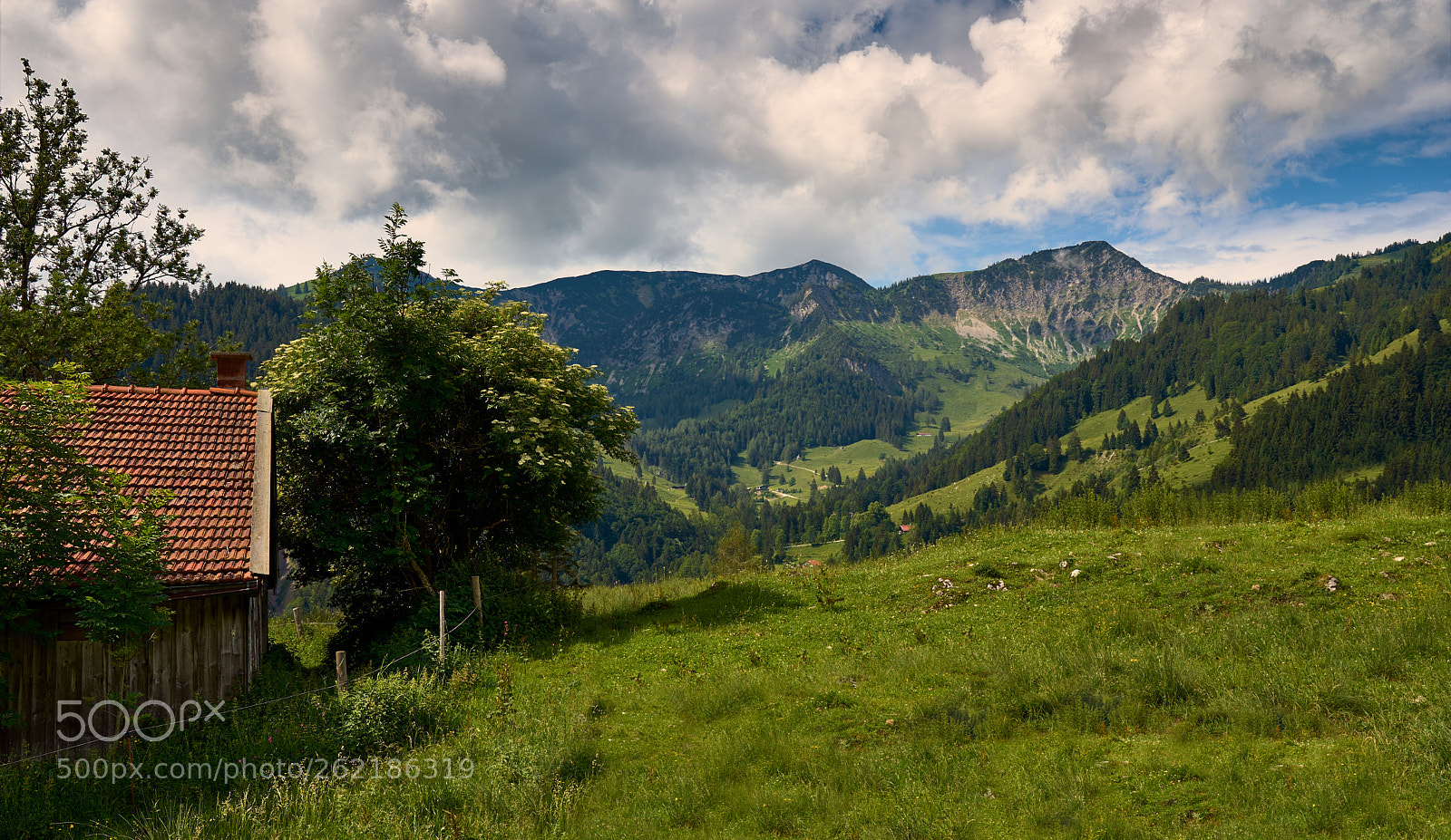 Sony a7 II sample photo. A nice outlook photography