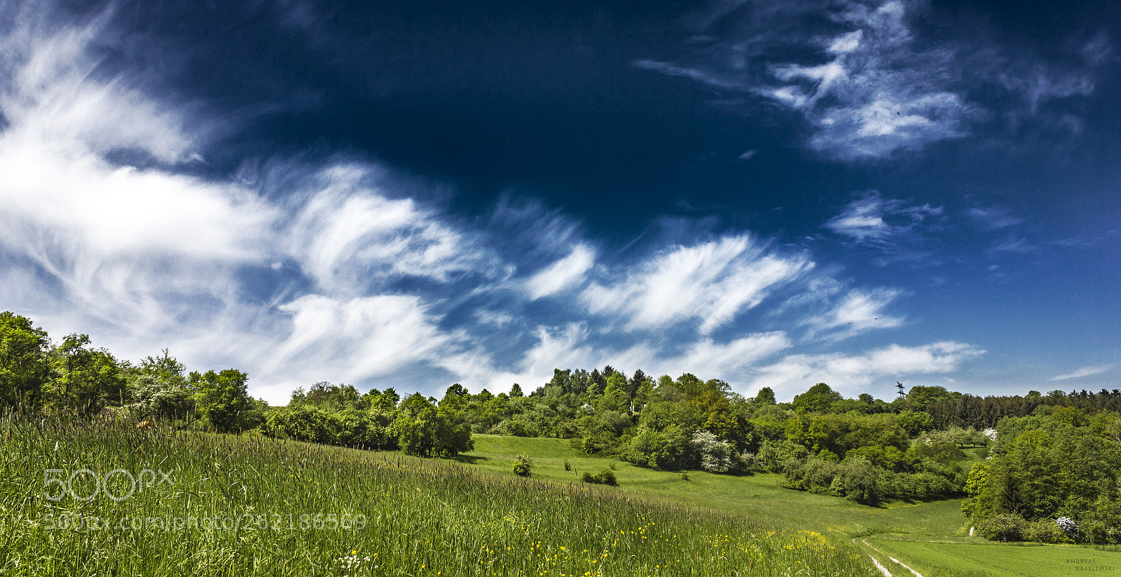 Canon EOS 550D (EOS Rebel T2i / EOS Kiss X4) sample photo. Summer sky panorama i photography