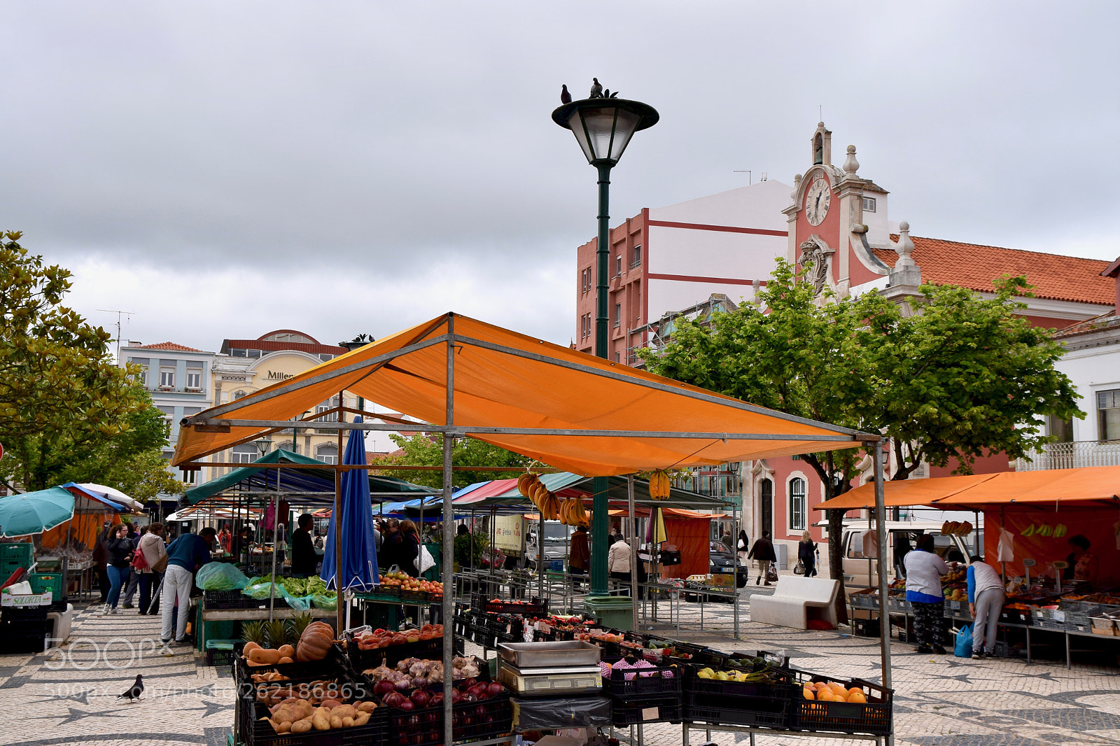 Nikon D5300 sample photo. Caldas da rainha, portugal photography