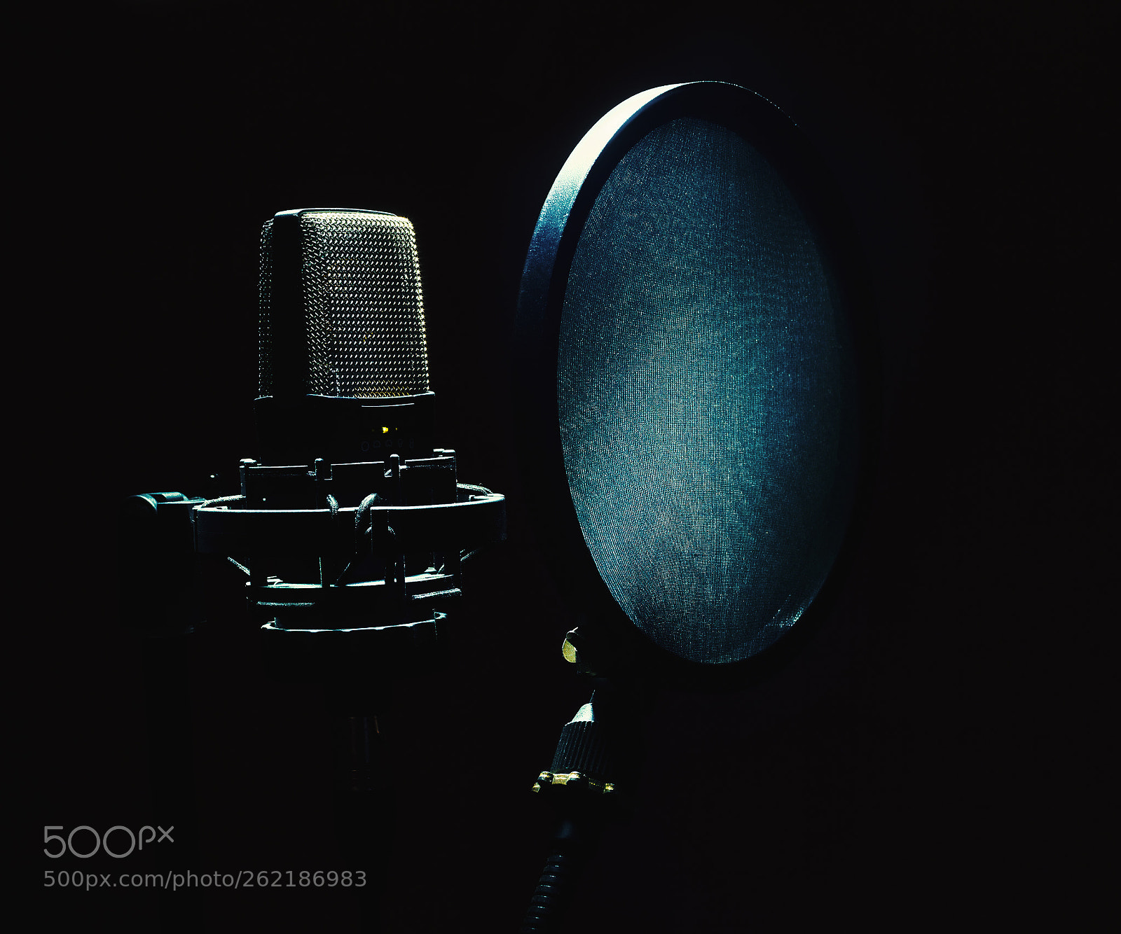 Canon EOS 5D Mark II sample photo. Microphone and popup filter photography