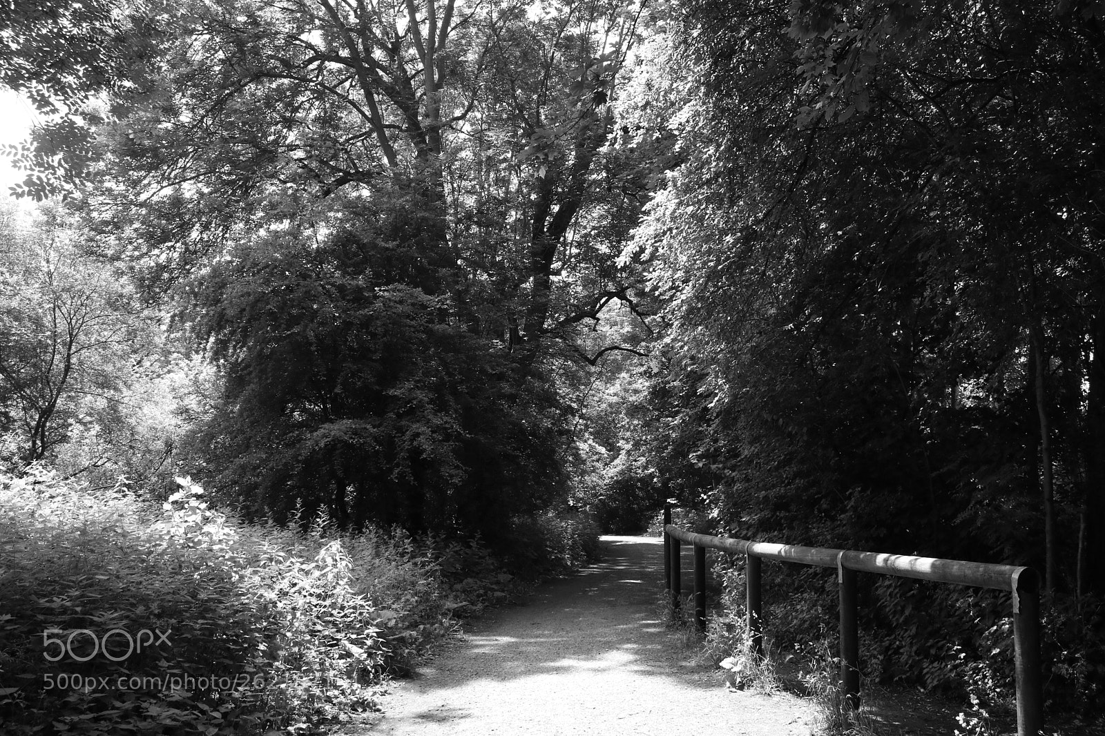 Canon EOS 750D (EOS Rebel T6i / EOS Kiss X8i) sample photo. Journey around coate water photography