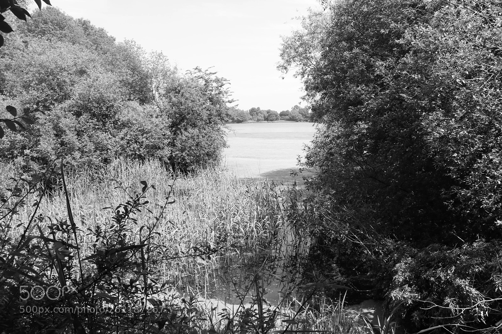 Canon EOS 750D (EOS Rebel T6i / EOS Kiss X8i) sample photo. Journey around coate water photography
