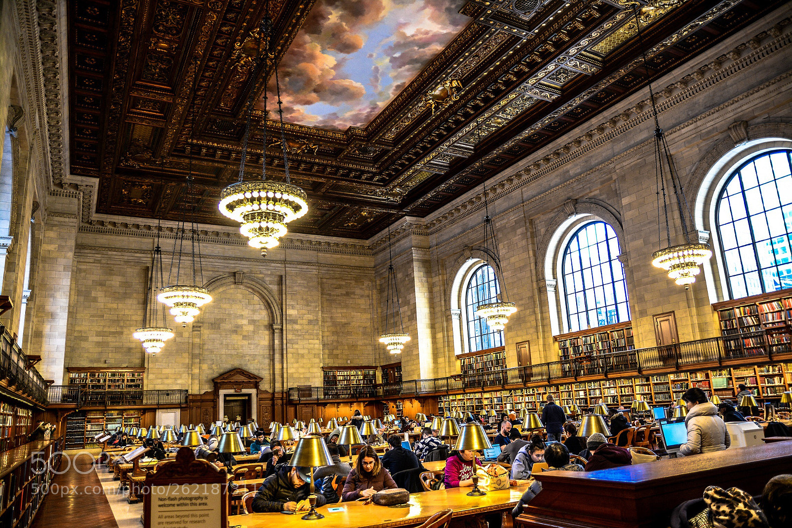 Nikon D7100 sample photo. Library  photography