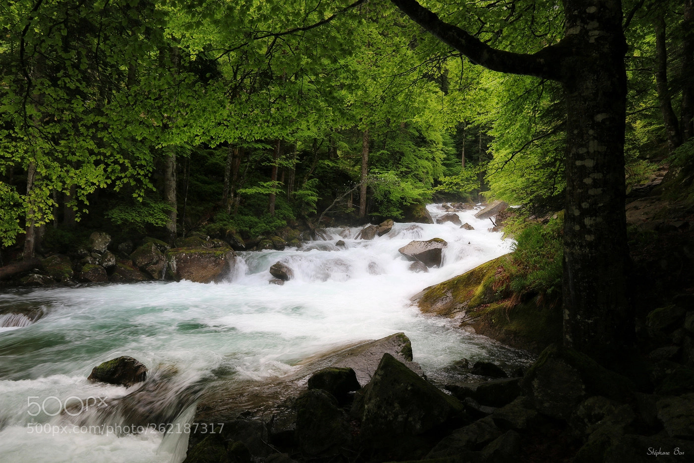 Canon EOS 70D sample photo. Gave du marcadau photography