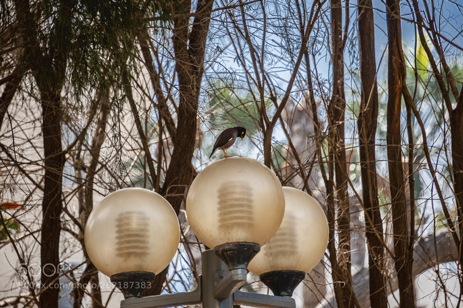 Nikon D700 sample photo. Untitled photography