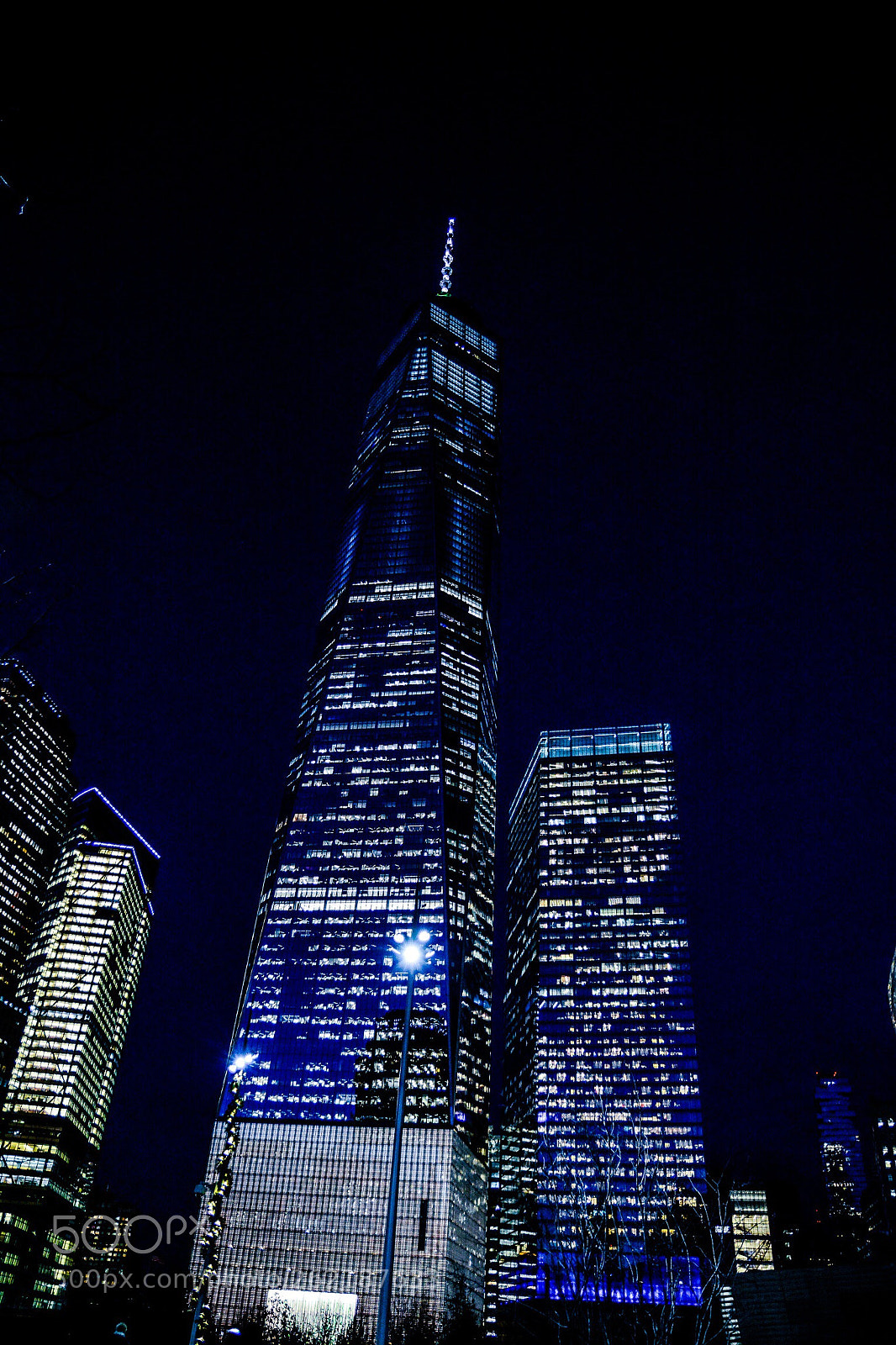 Nikon D7100 sample photo. Freedom  photography