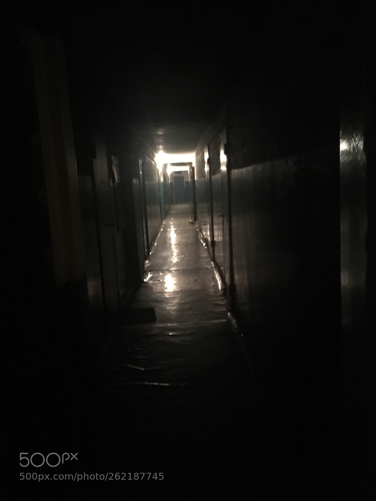 Apple iPhone SE sample photo. Untitled photography