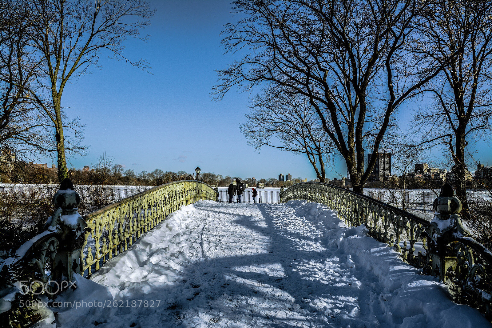 Nikon D7100 sample photo. Central park  photography