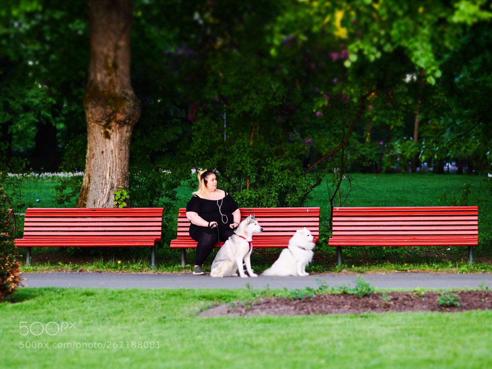 Olympus PEN-F sample photo. In the park photography