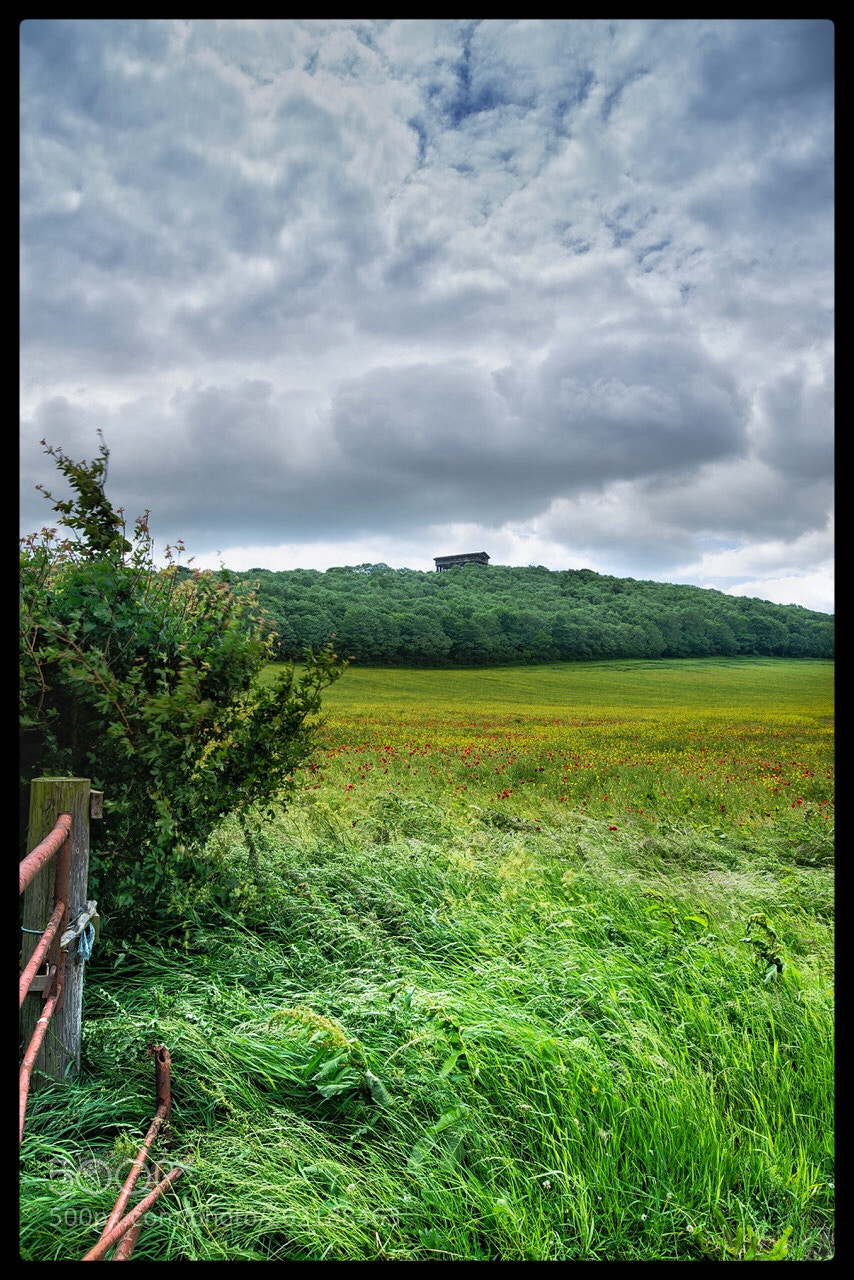 Nikon D610 sample photo. Field photography