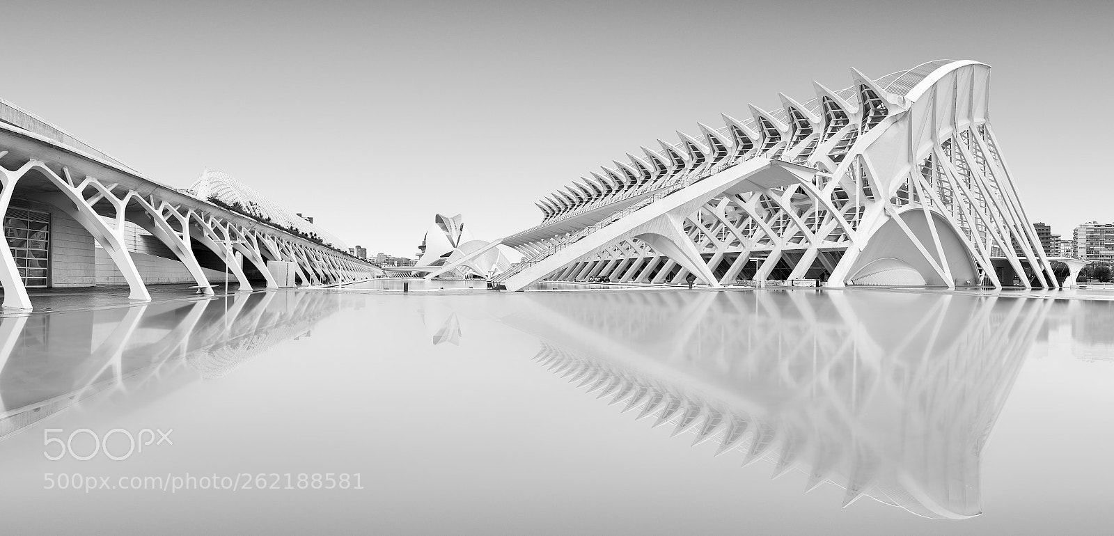 Nikon D810 sample photo. The city photography