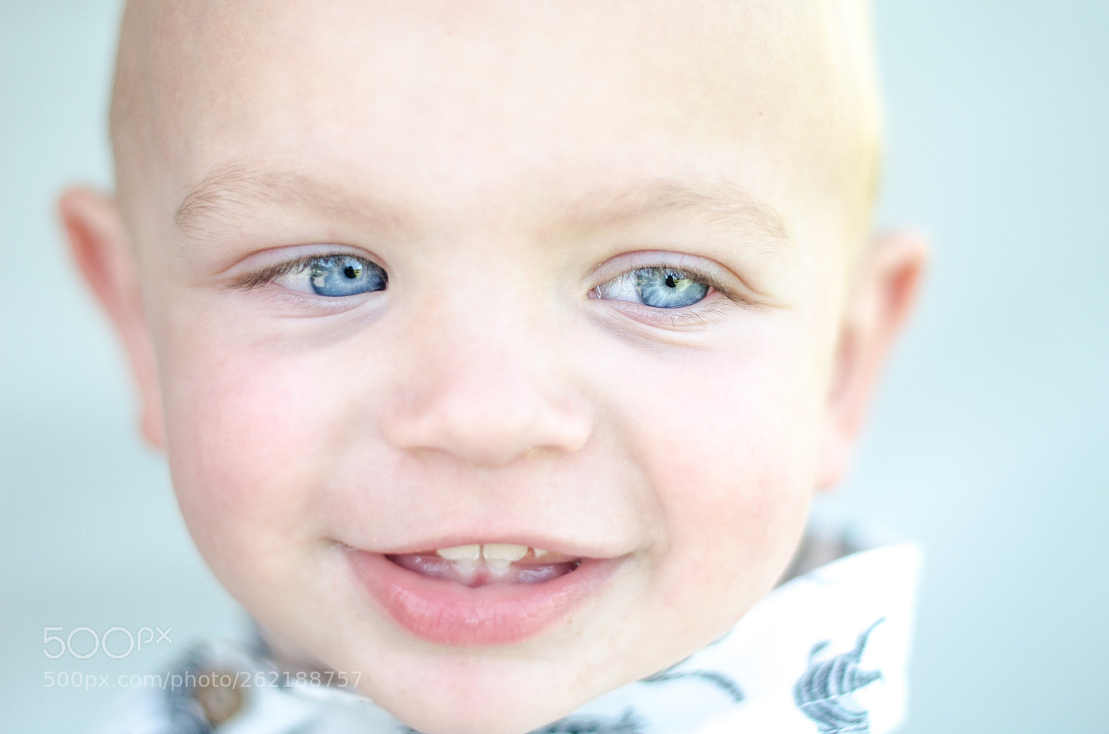 Nikon D5100 sample photo. Zayzay photography