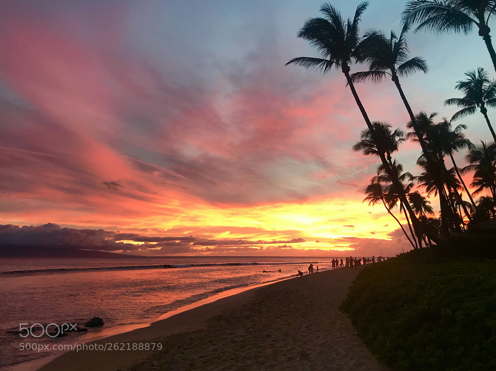 Apple iPhone 7 sample photo. Aloha maui photography