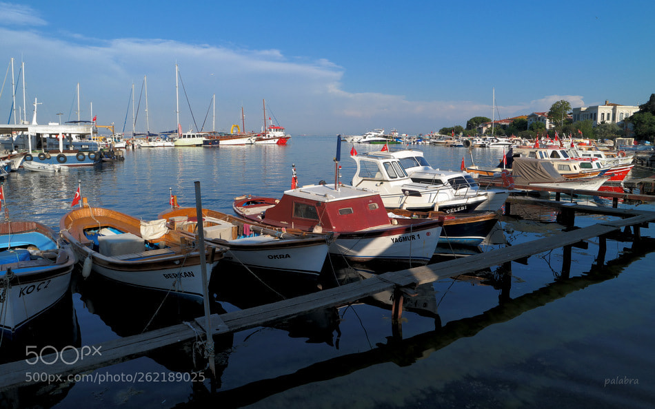 Samsung NX30 sample photo. ... photography