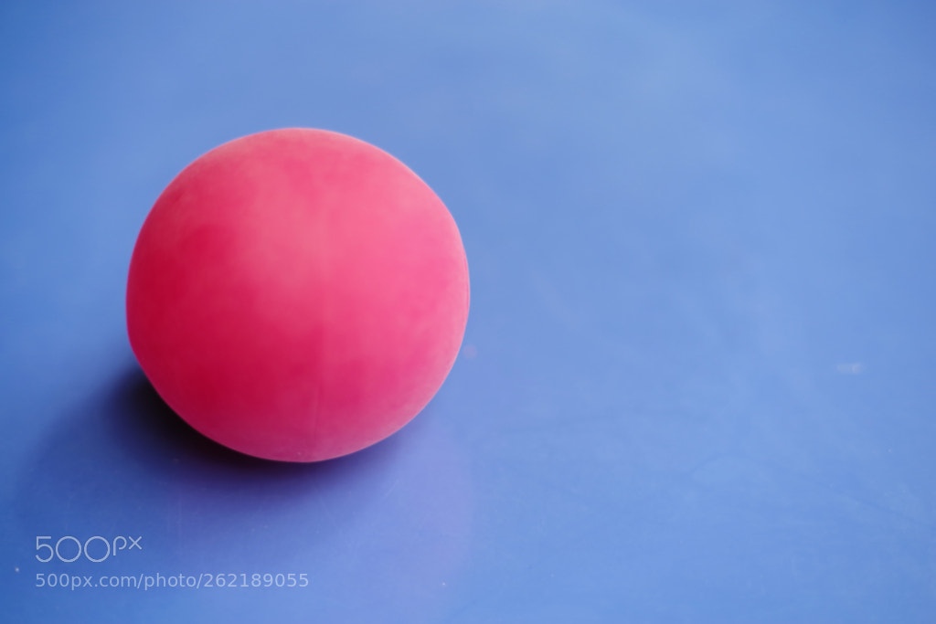 Pentax K-1 sample photo. Round photography