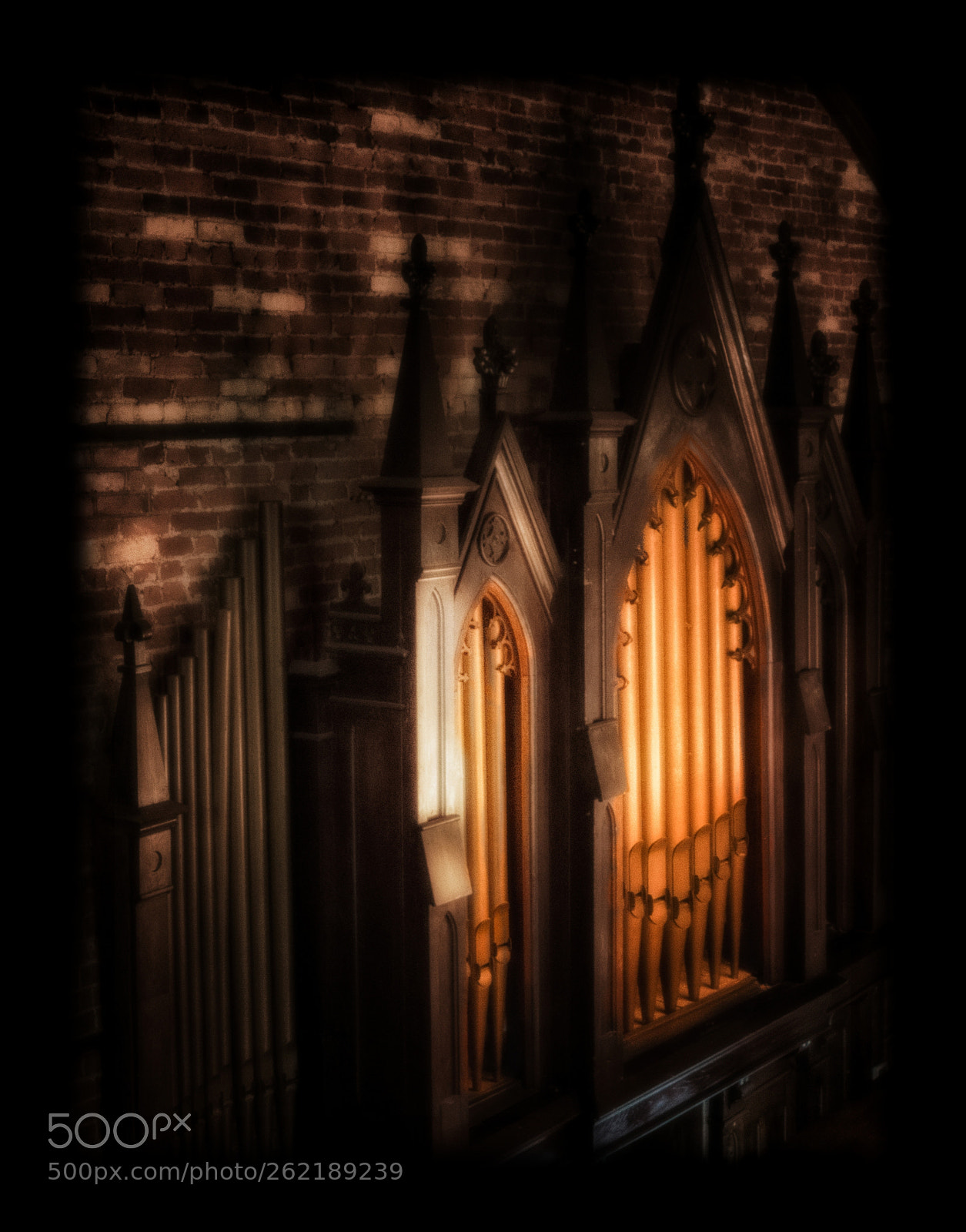 Nikon D3300 sample photo. Golden pipes photography