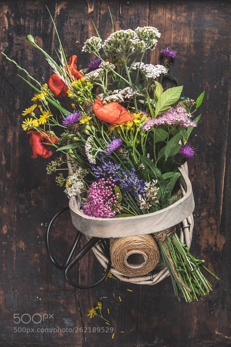 Canon EOS 5DS R sample photo. Bouquet of wild flowers photography