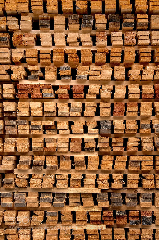 Nikon D500 sample photo. Wooden planks photography