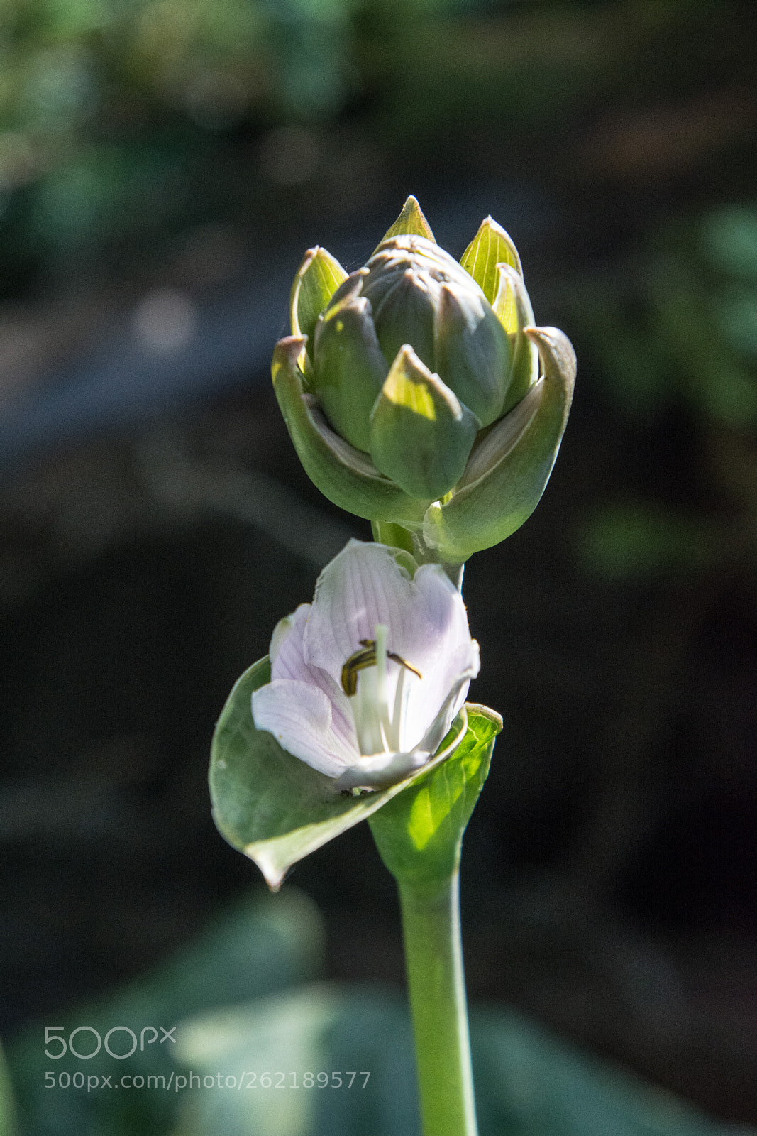 Nikon D7100 sample photo. New 14.6.2018 photography