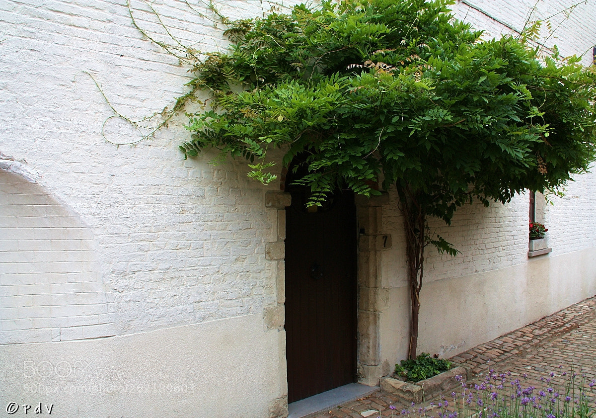 Canon EOS 450D (EOS Rebel XSi / EOS Kiss X2) sample photo. Beguinage photography