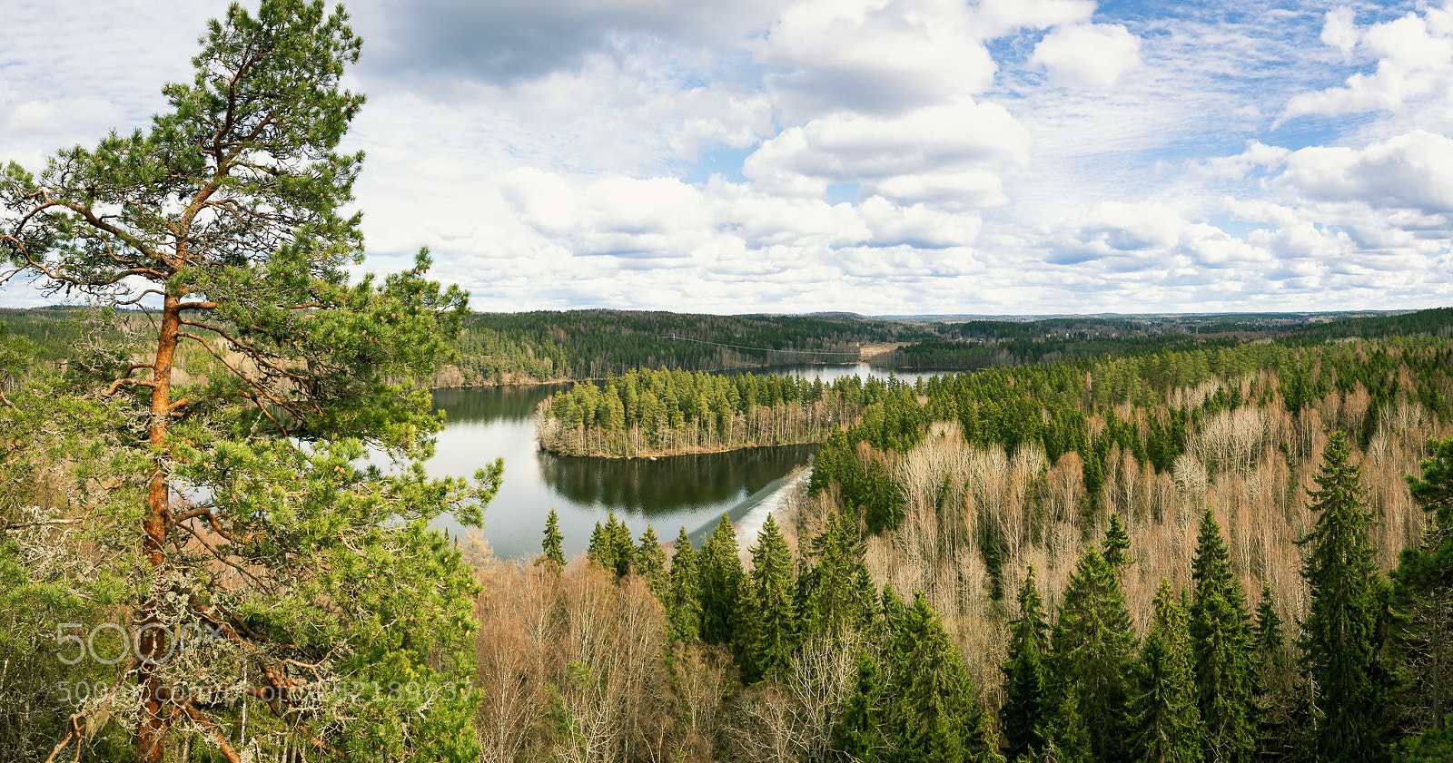Nikon D850 sample photo. Aulanko photography