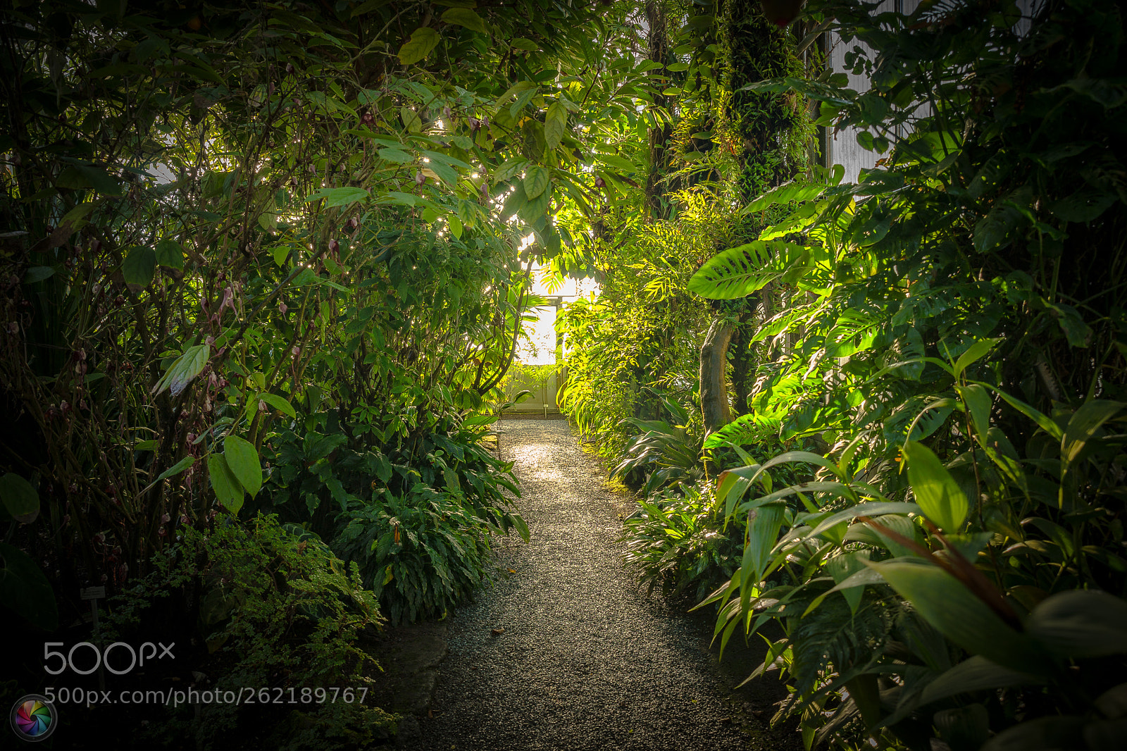 Sony a99 II sample photo. Botanischen gartens st.gallen photography