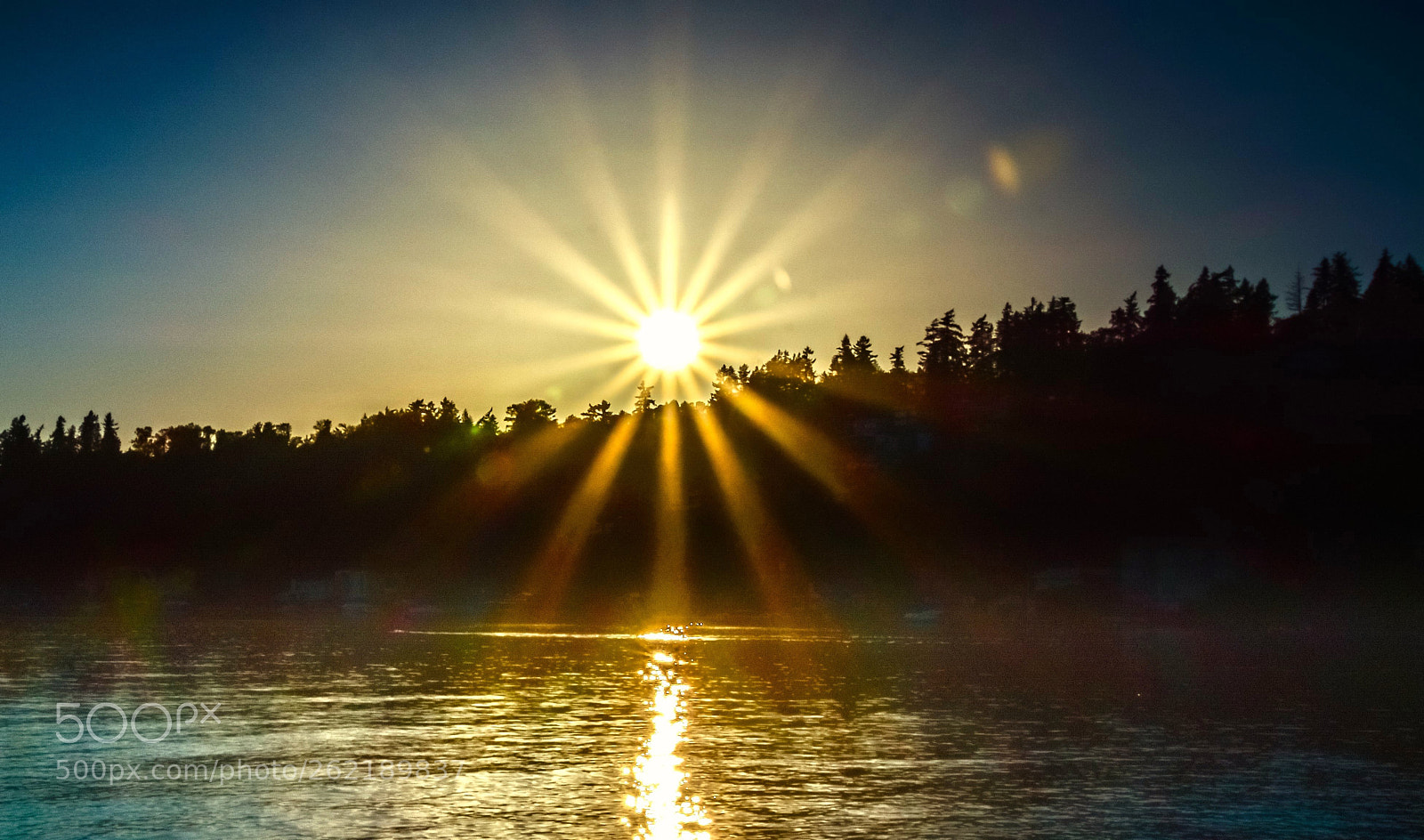 Nikon D7200 sample photo. Beautiful sunshine! photography