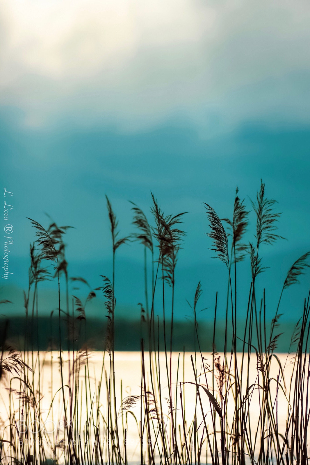 Canon EOS 6D Mark II sample photo. At horizon 122 photography