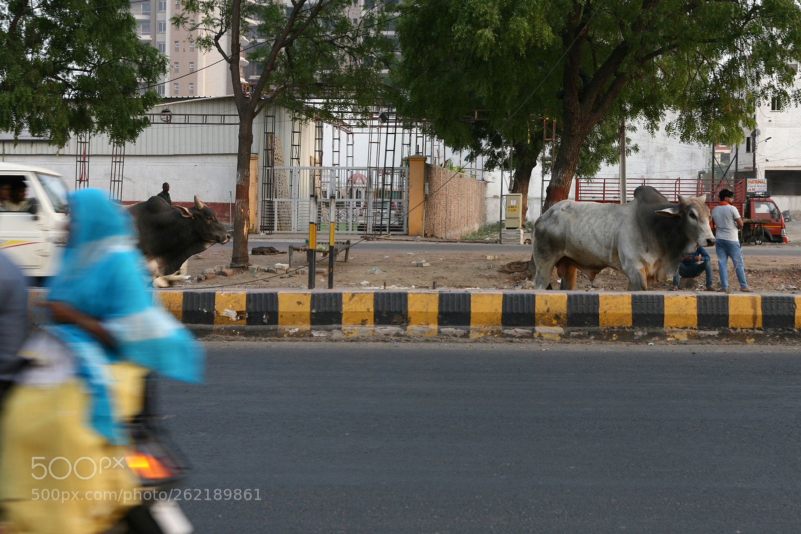 Canon EOS 5D sample photo. India photography